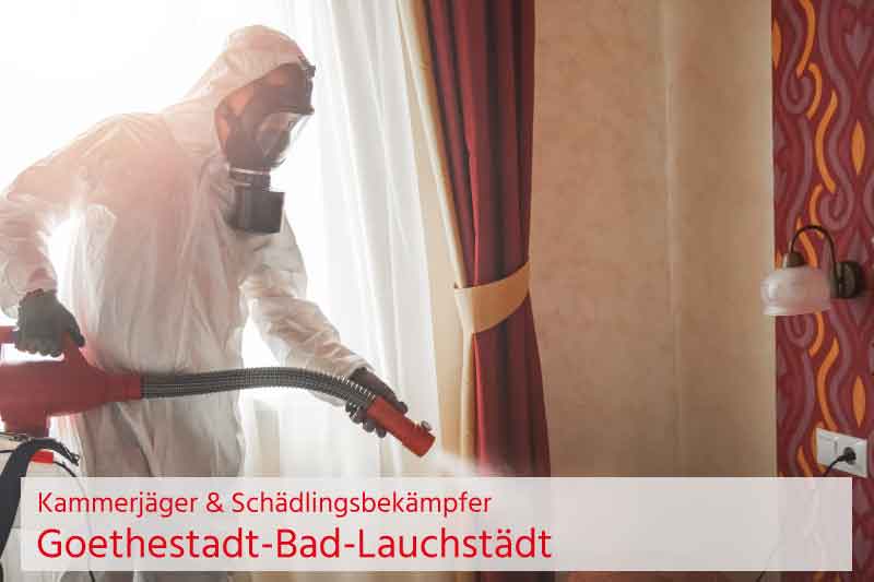 Kammerjäger und Schädlingsbekämpfung Goethestadt-Bad-Lauchstädt