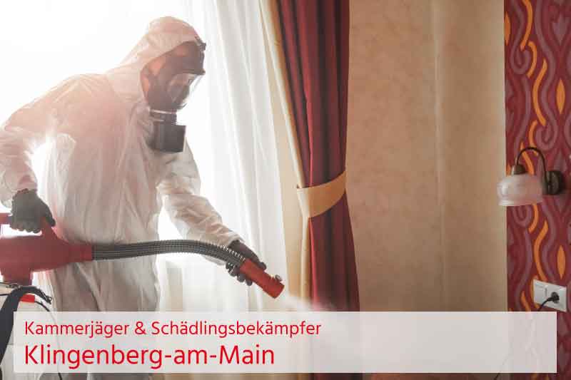 Kammerjäger und Schädlingsbekämpfung Klingenberg-am-Main
