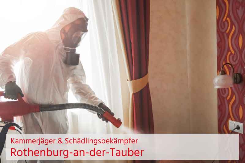 Kammerjäger und Schädlingsbekämpfung Rothenburg-an-der-Tauber