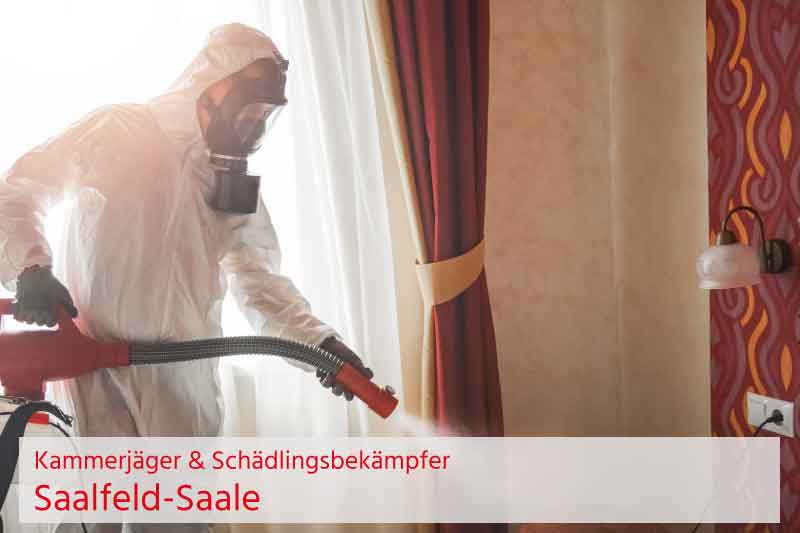 Kammerjäger und Schädlingsbekämpfung Saalfeld-Saale