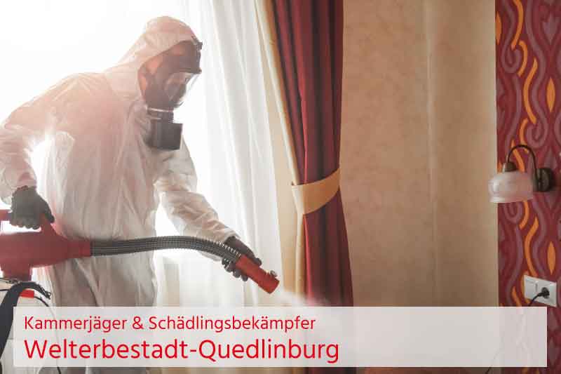 Kammerjäger und Schädlingsbekämpfung Welterbestadt-Quedlinburg