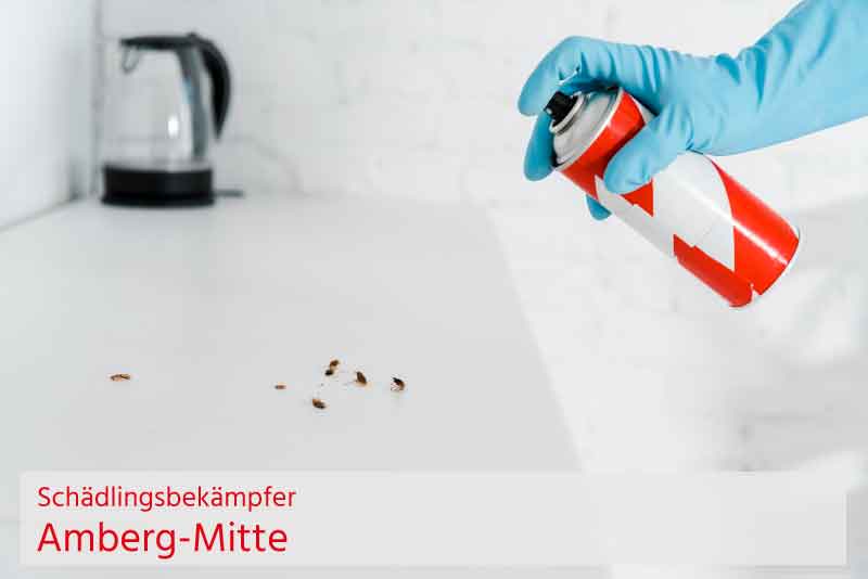 Schädlingsbekämpfer Amberg-Mitte