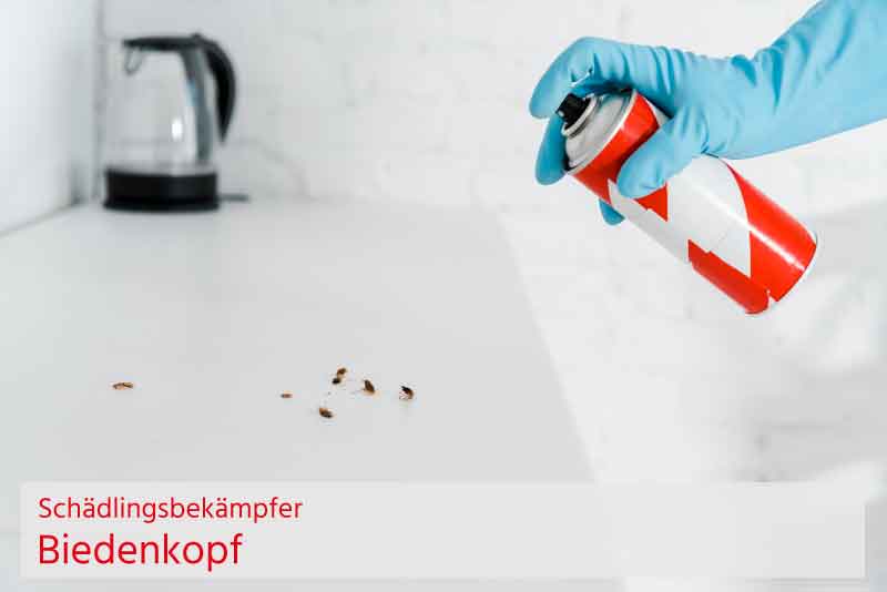 Schädlingsbekämpfer Biedenkopf