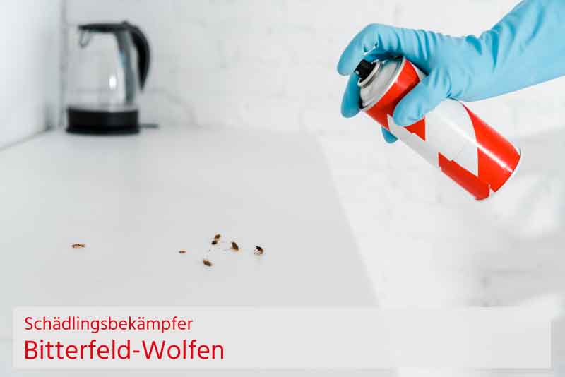Schädlingsbekämpfer Bitterfeld-Wolfen