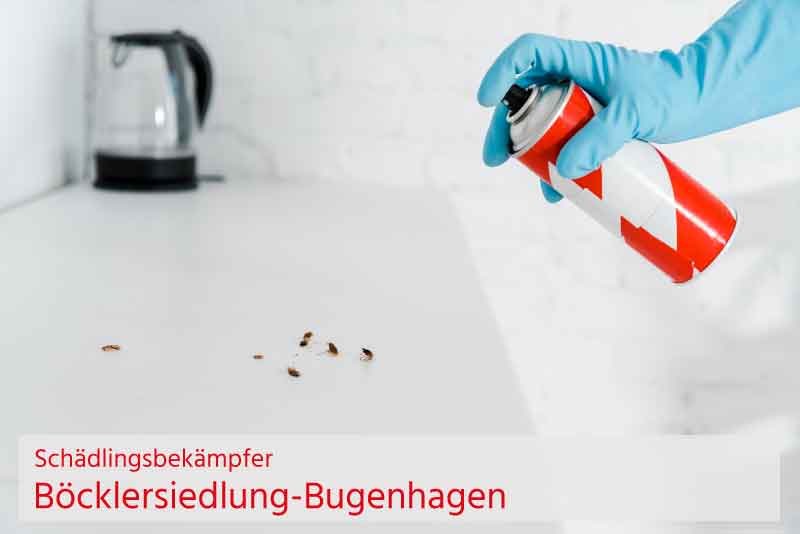 Schädlingsbekämpfer Böcklersiedlung-Bugenhagen