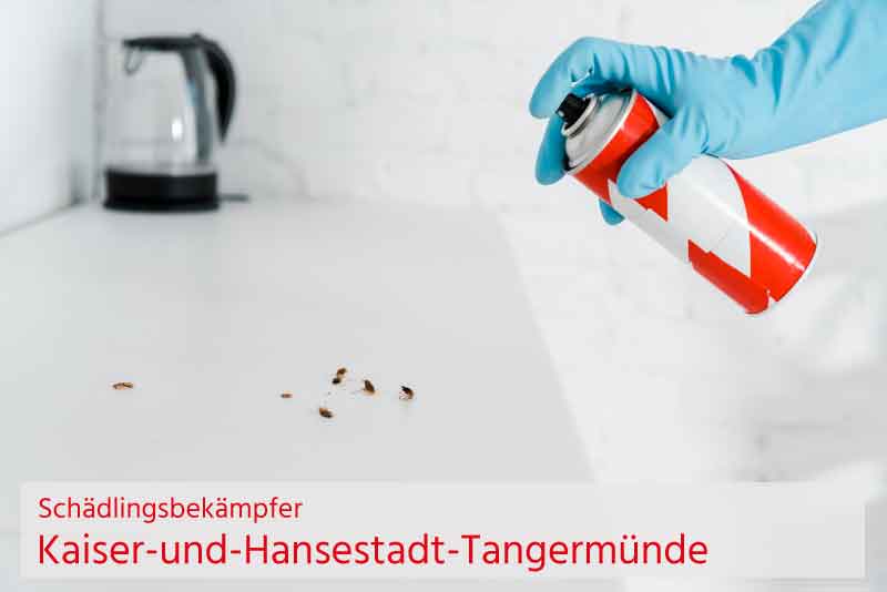 Schädlingsbekämpfer Kaiser-und-Hansestadt-Tangermünde